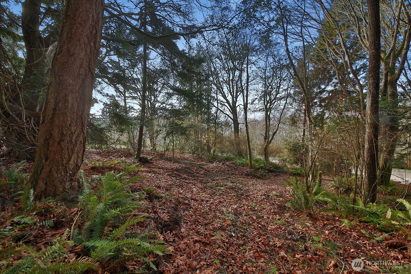 0 Xxx Cultus Bay Road Property Photo 20