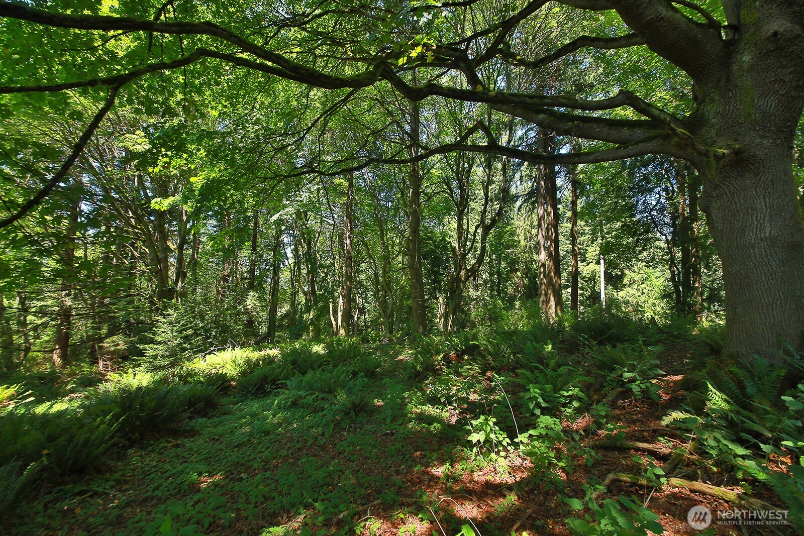 0 Xxx Cultus Bay Road Property Photo 30