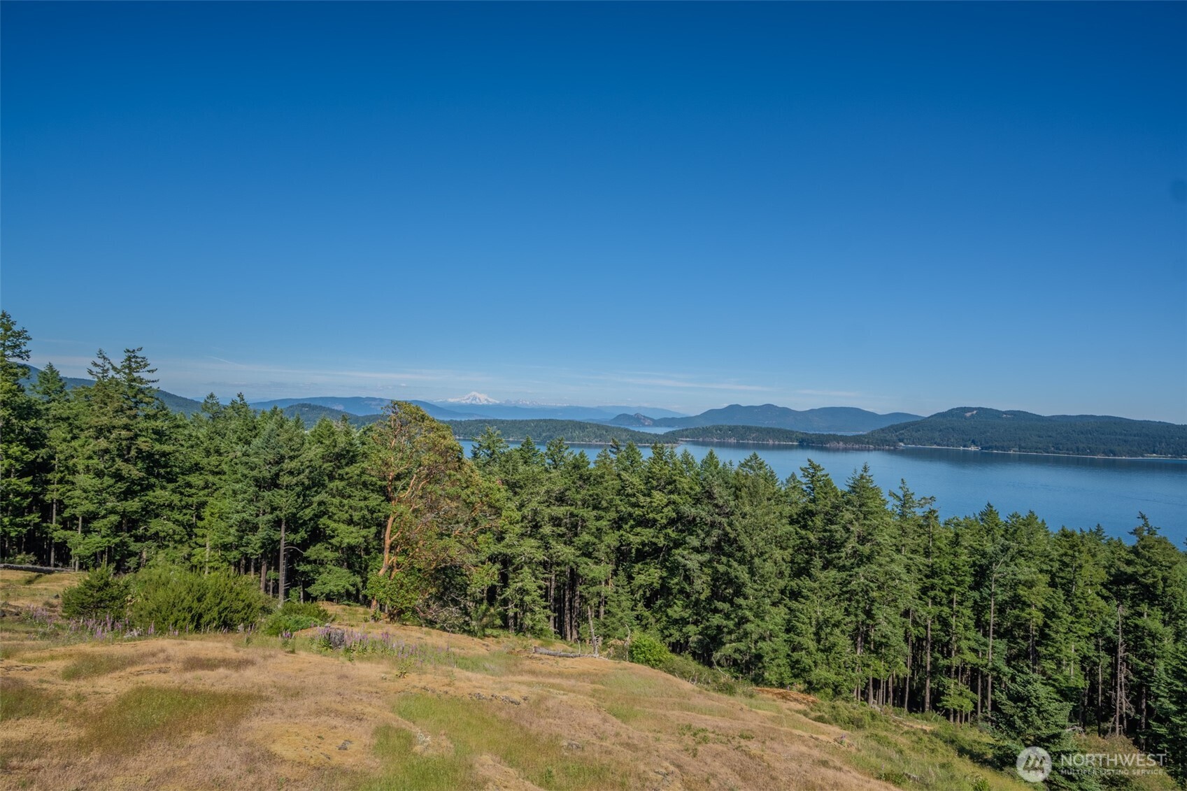 726 Pine Ridge Drive Property Photo 40