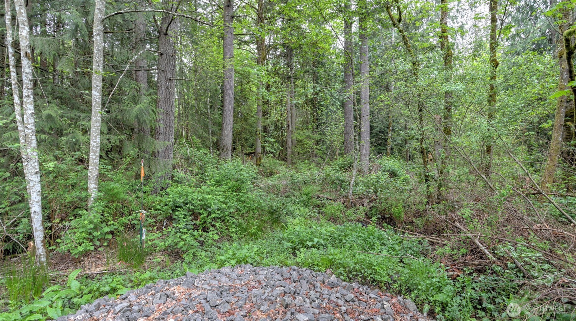 0 Se 311th Court Property Photo 4