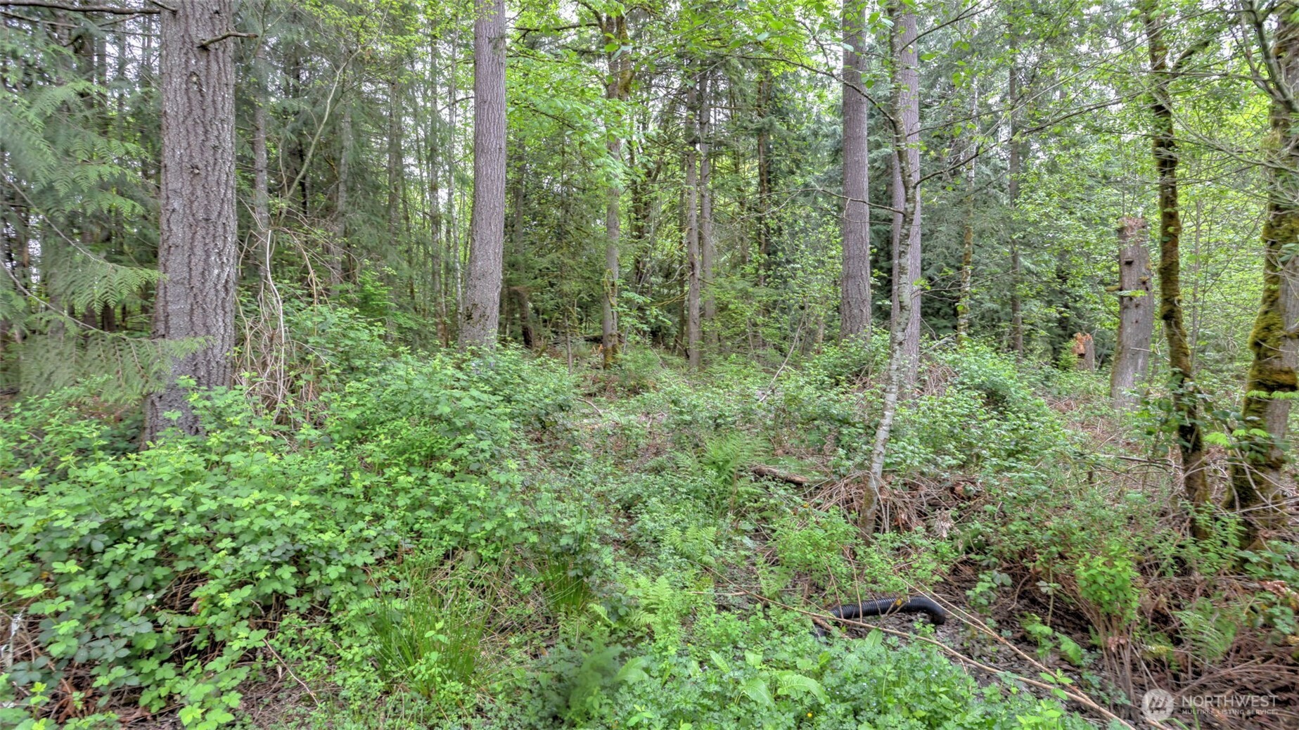 0 Se 311th Court Property Photo 5