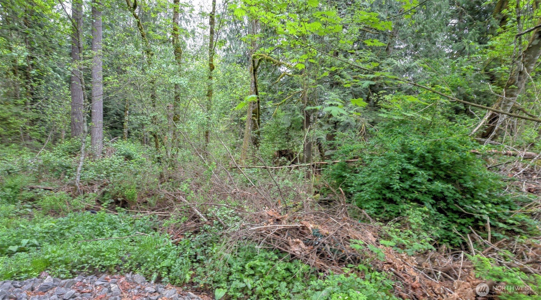 0 Se 311th Court Property Photo 7