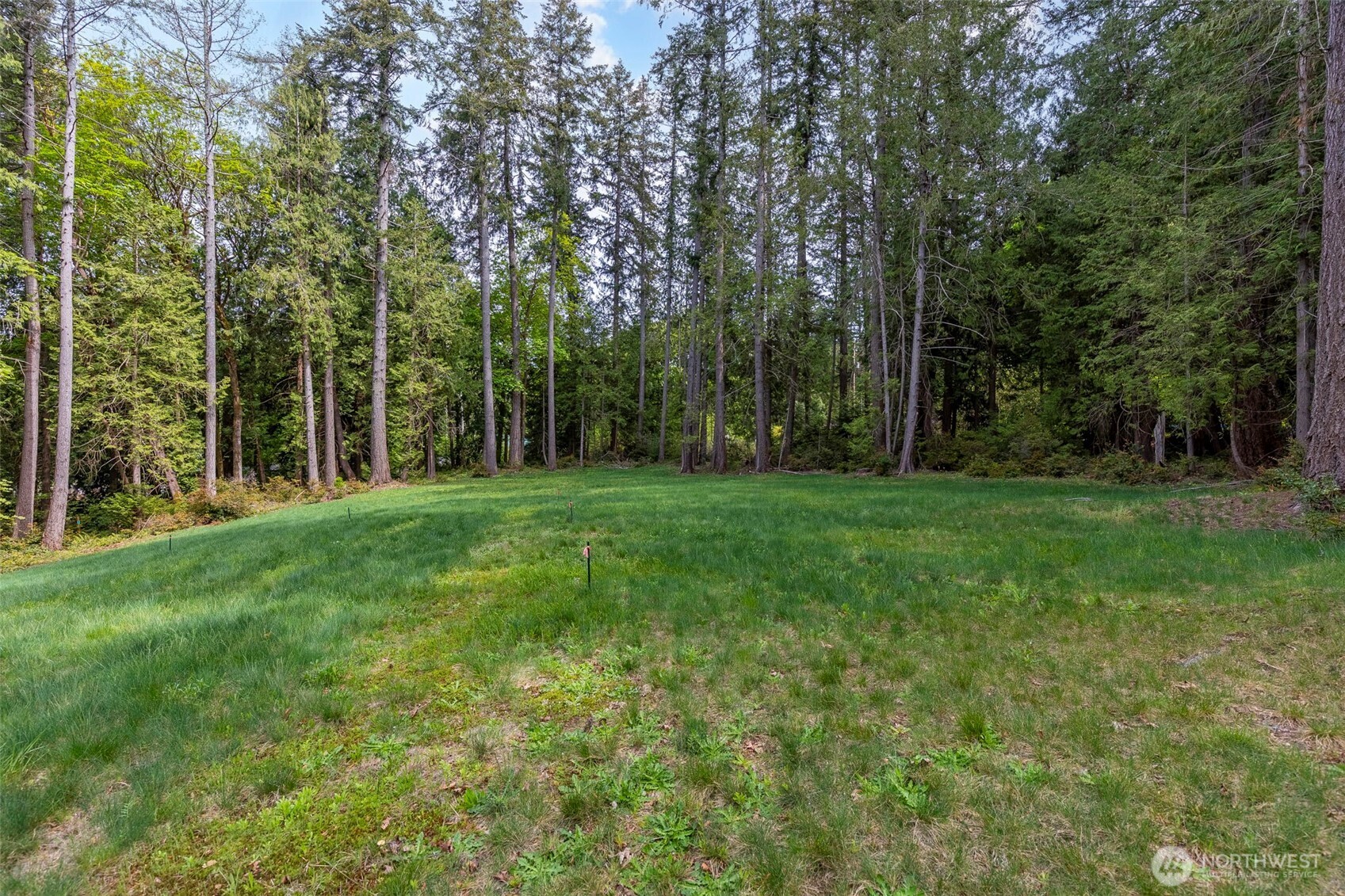 13502 Goodnough Drive Property Photo 2