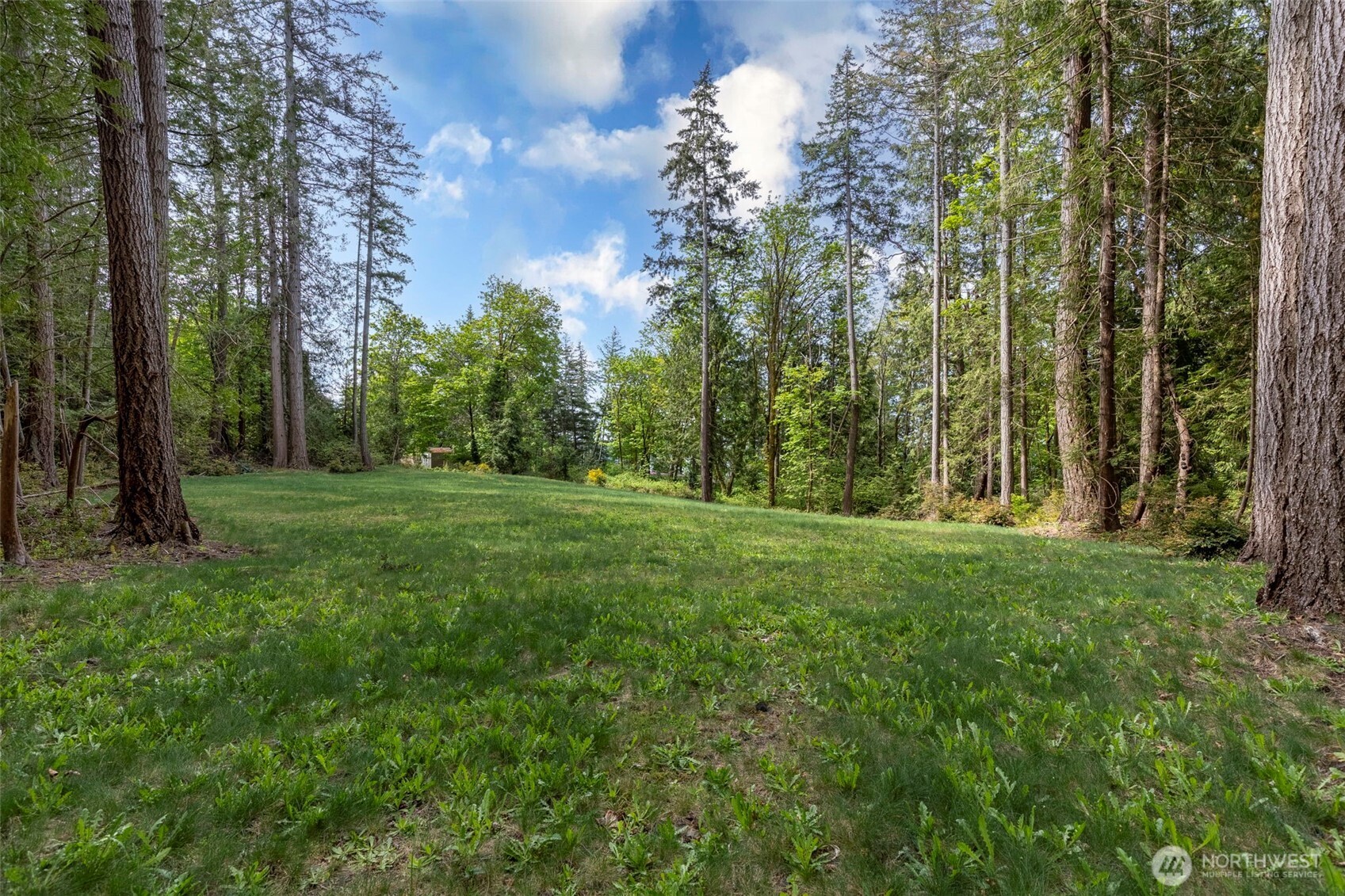 13502 Goodnough Drive Property Photo 3