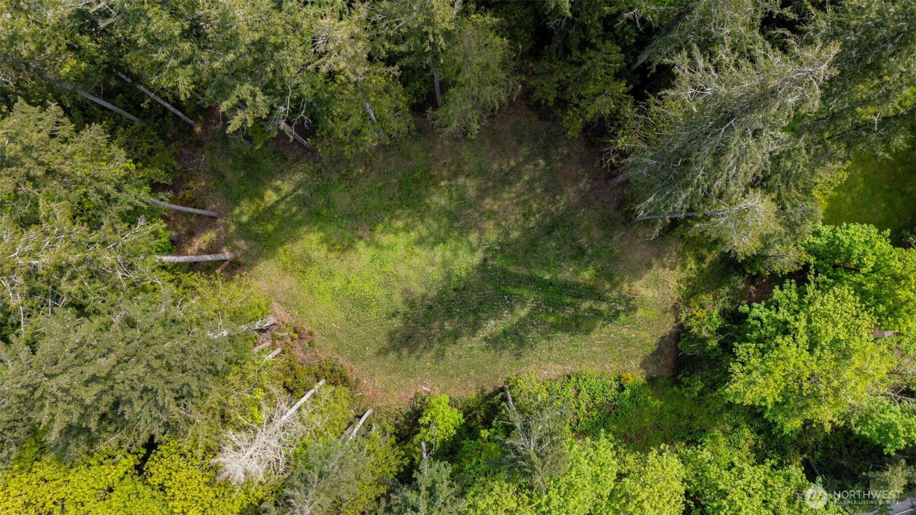 13502 Goodnough Drive Property Photo 4