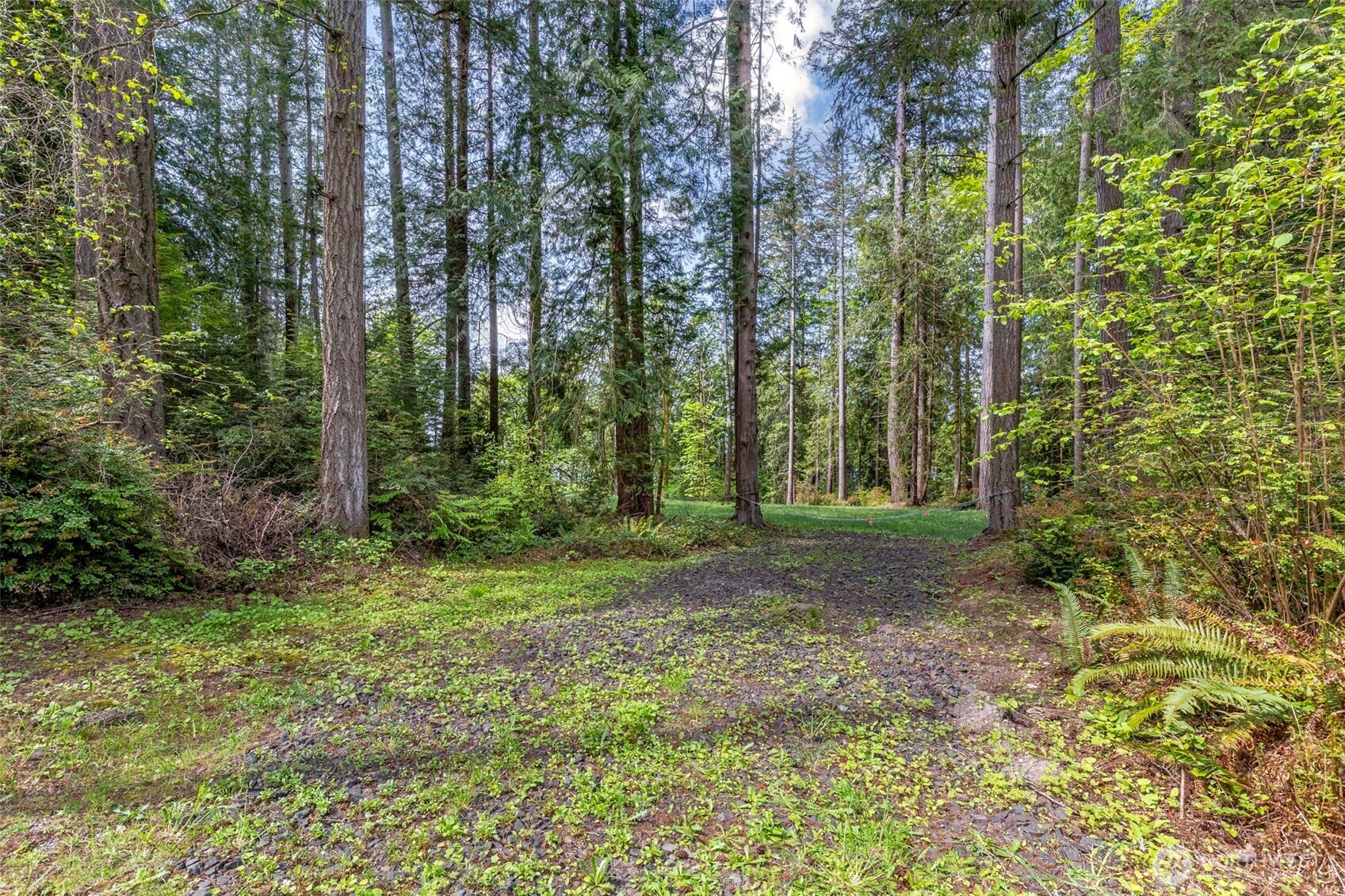 13502 Goodnough Drive Property Photo 6