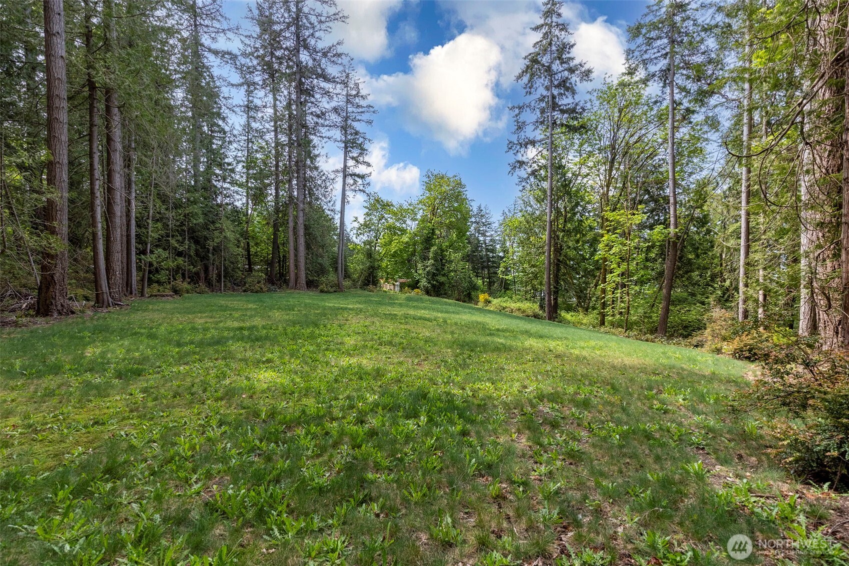 13502 Goodnough Drive Property Photo 9