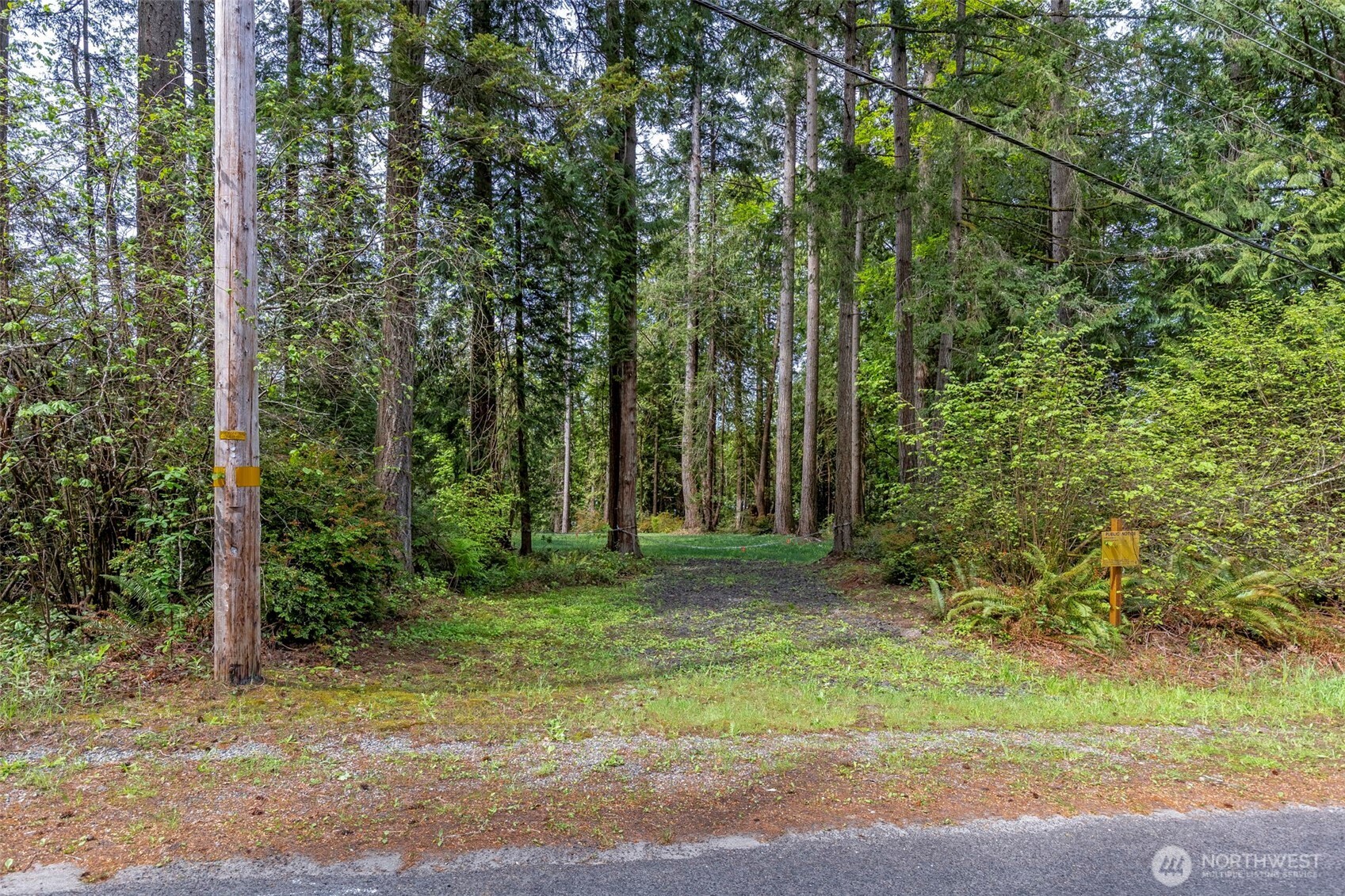 13502 Goodnough Drive Property Photo 12