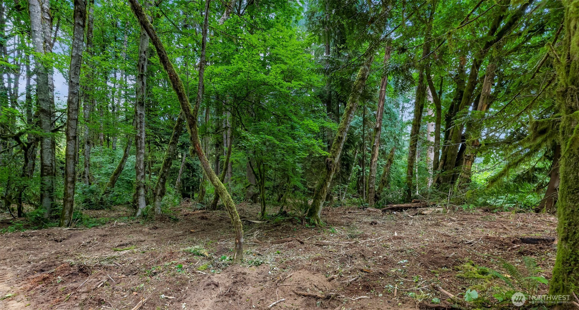0 Xx Yeager Road Property Photo 3