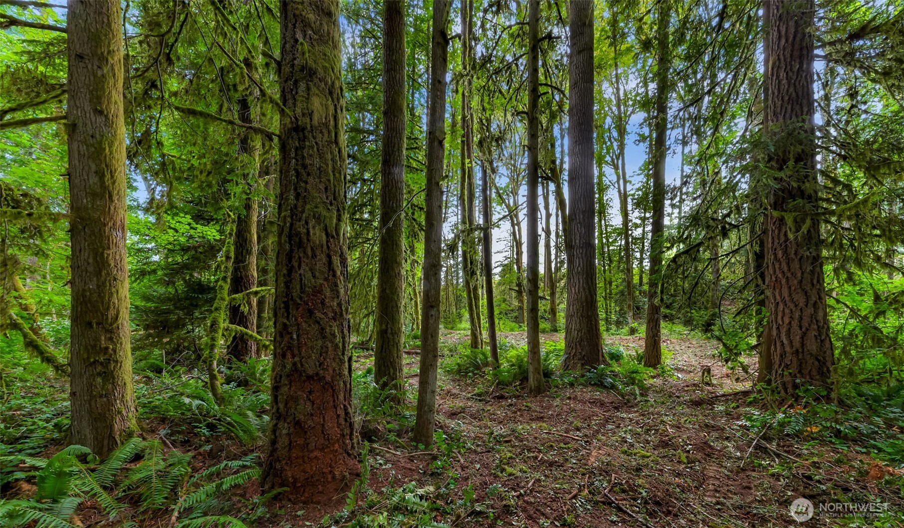 0 Xx Yeager Road Property Photo 7