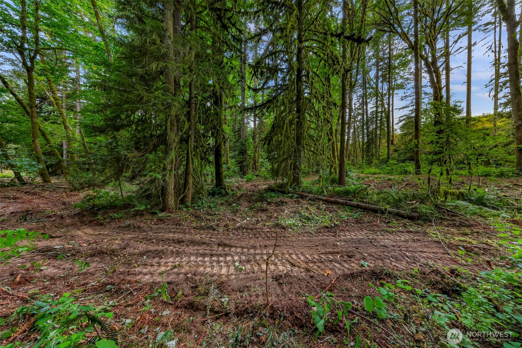 0 Xx Yeager Road Property Photo 9