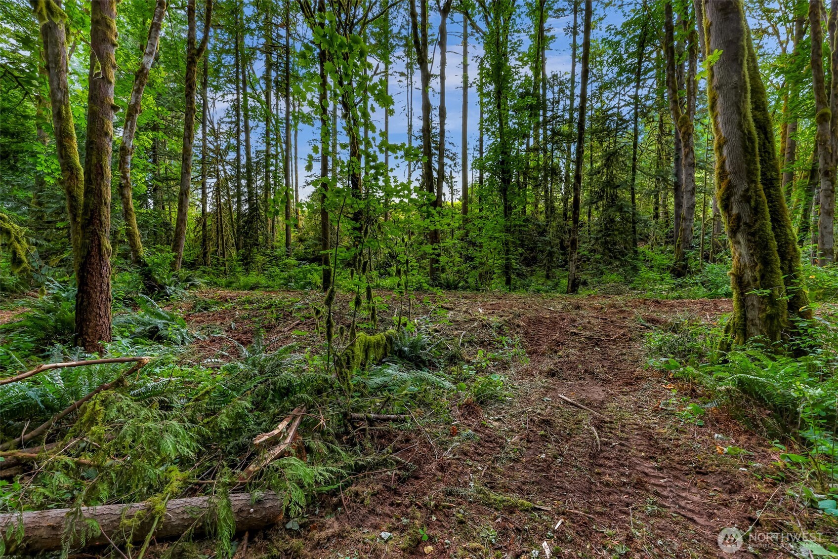 0 Xx Yeager Road Property Photo 11