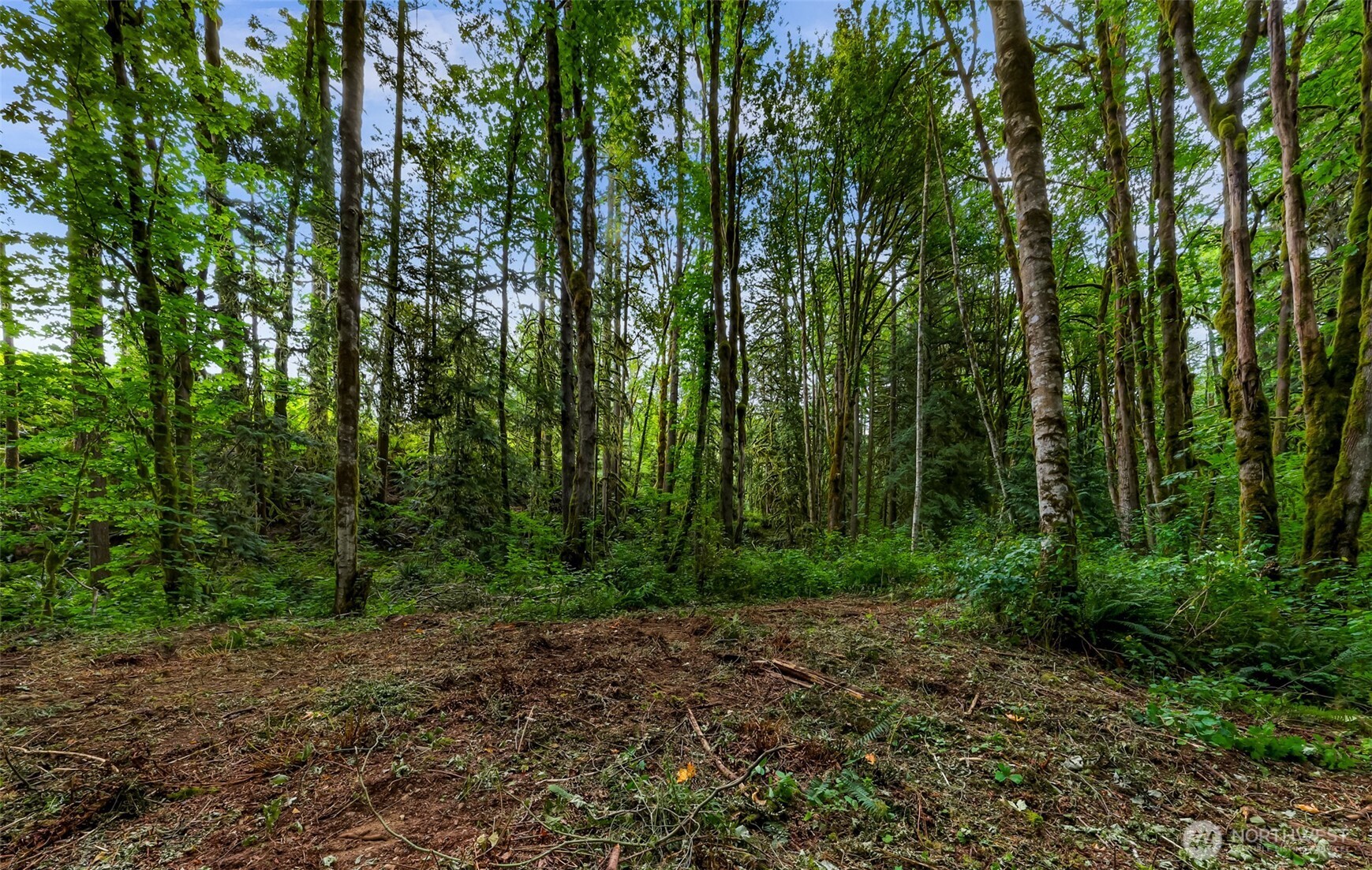 0 Xx Yeager Road Property Photo 12
