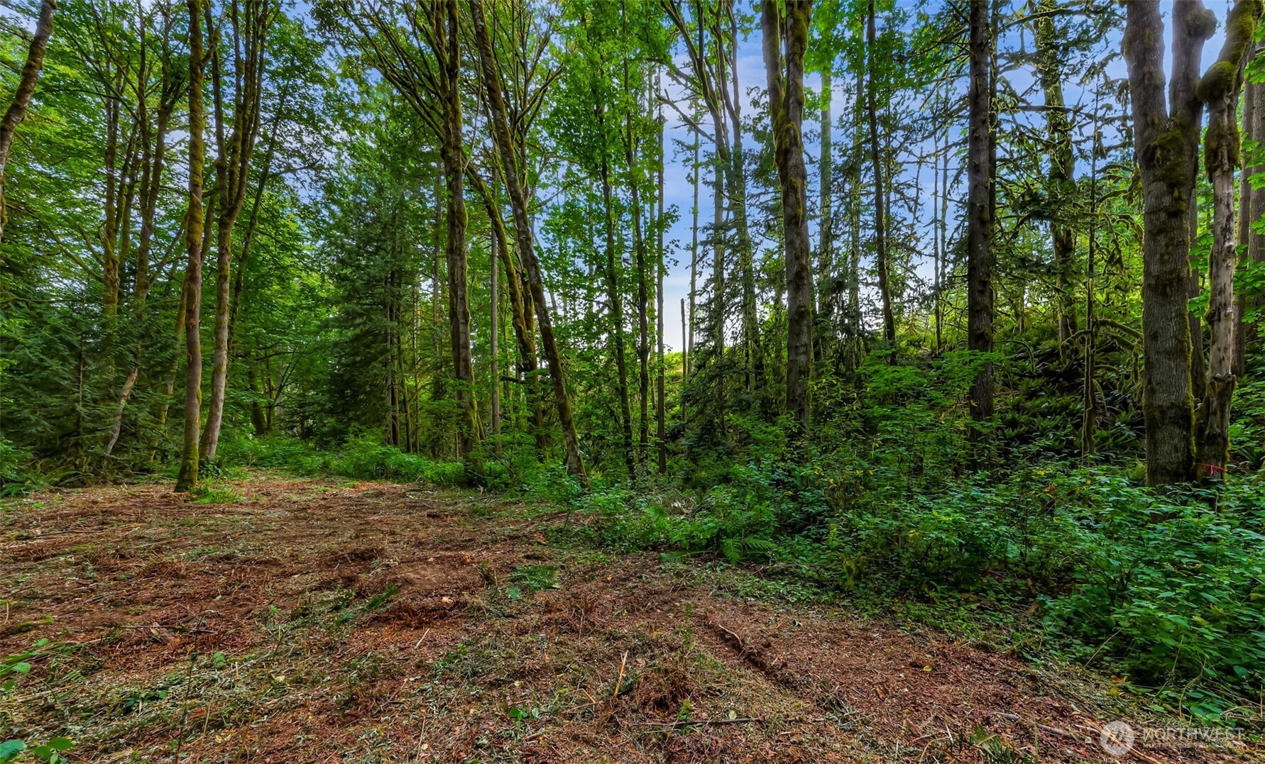 0 Xx Yeager Road Property Photo 13