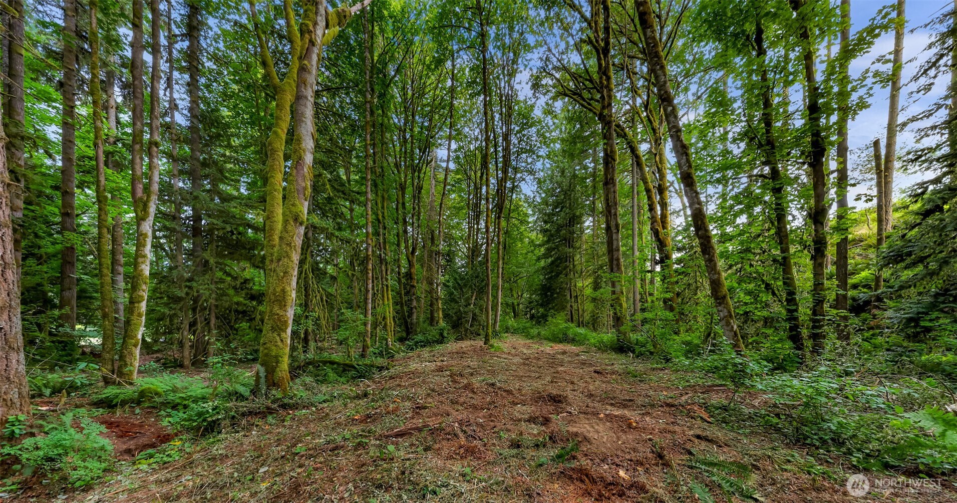 0 Xx Yeager Road Property Photo 14