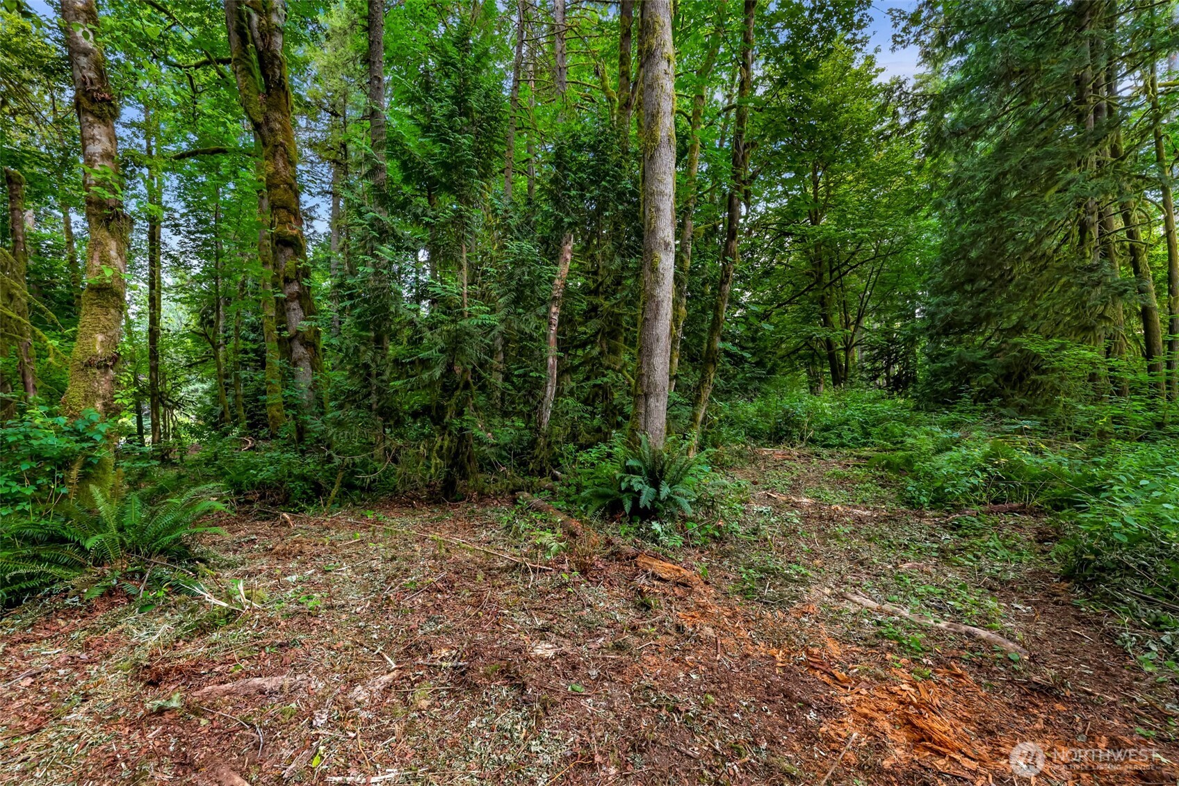 0 Xx Yeager Road Property Photo 16