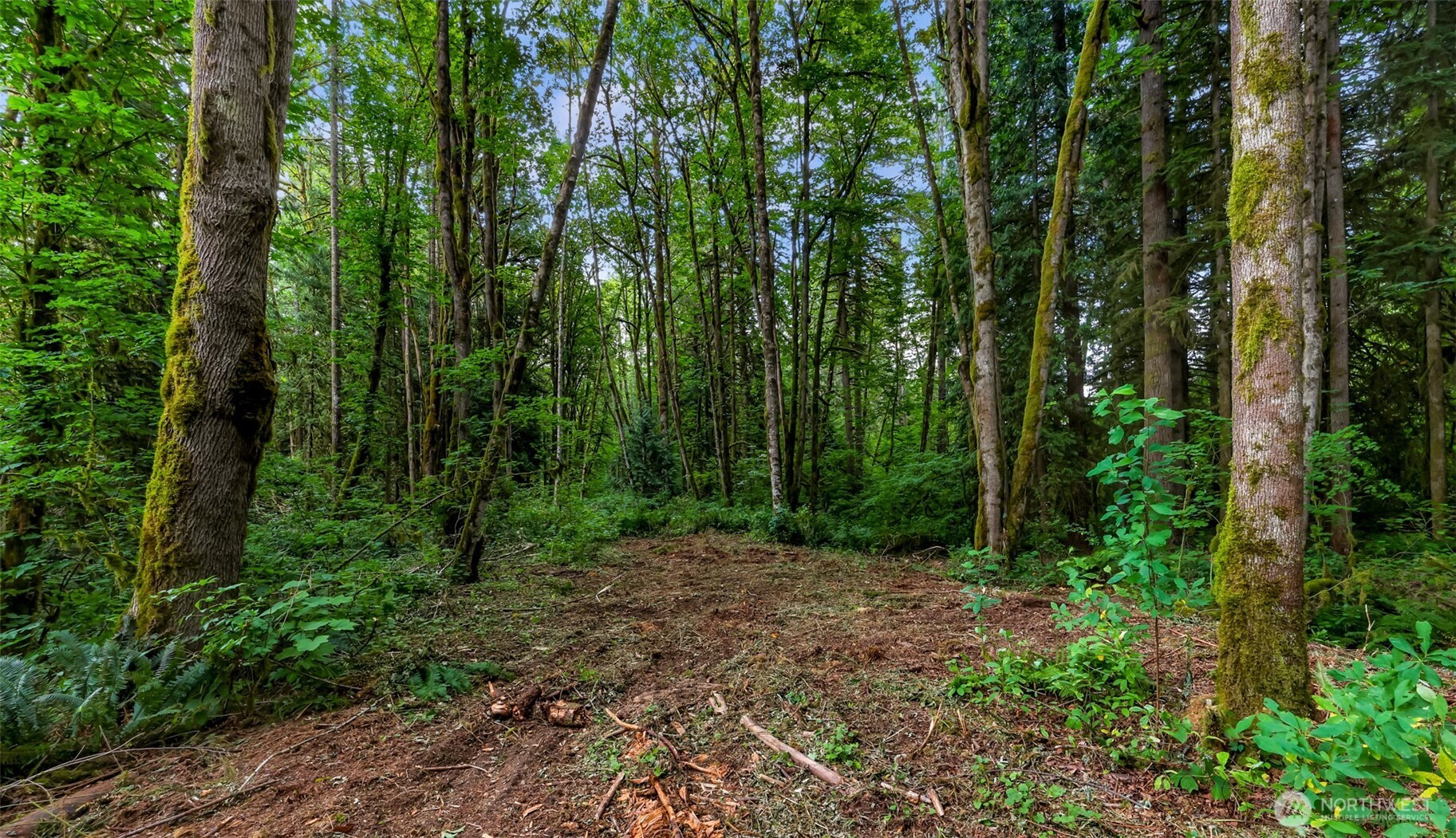 0 Xx Yeager Road Property Photo 17