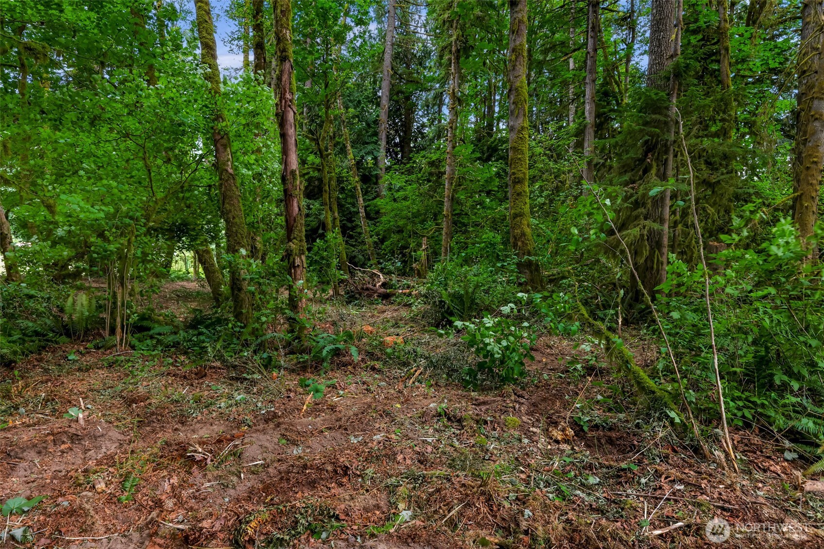 0 Xx Yeager Road Property Photo 18