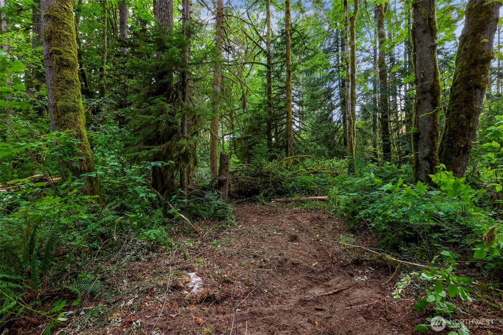 0 Xx Yeager Road Property Photo 19