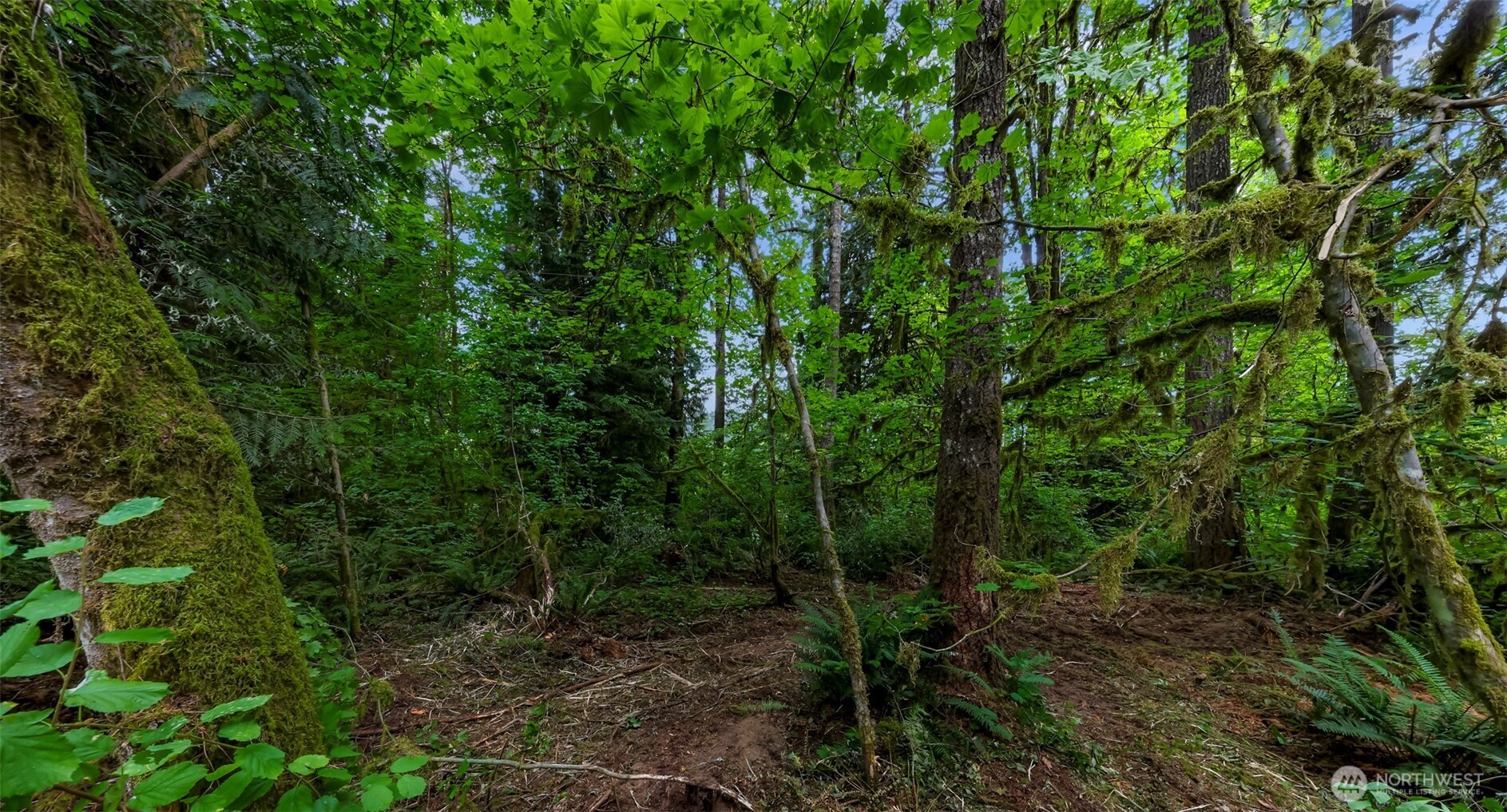 0 Xx Yeager Road Property Photo 21