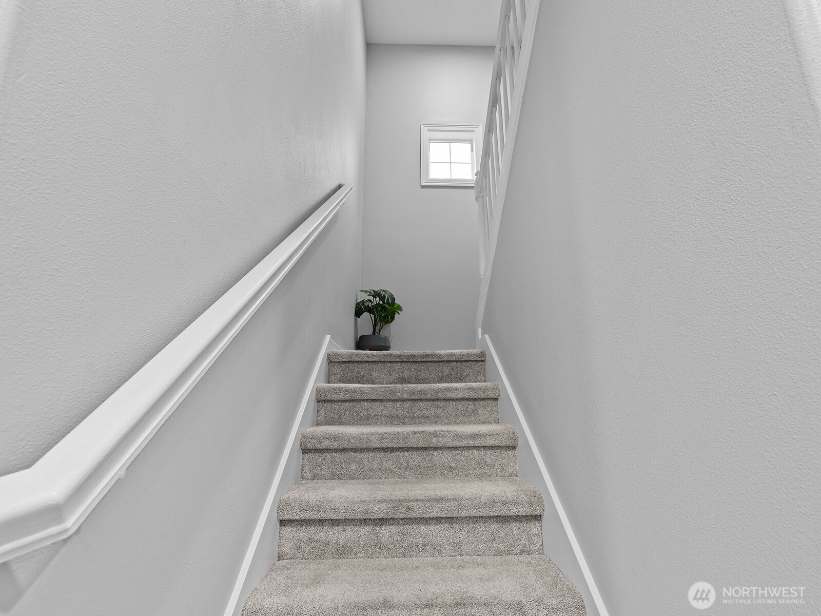 2520092 Property Photo 26