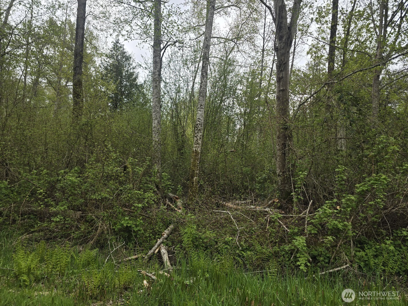 0 Shorewood Lane Property Photo 1