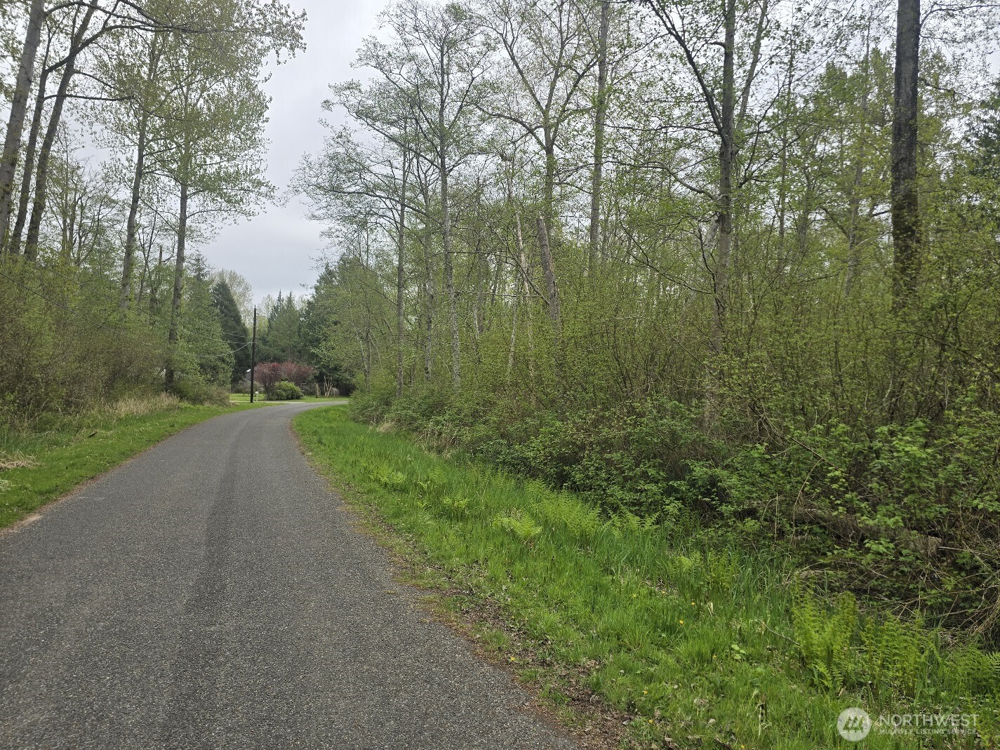 0 Shorewood Lane Property Photo 2