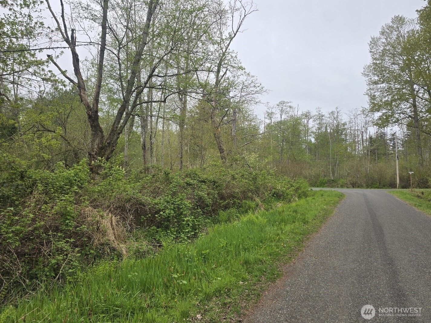 0 Shorewood Lane Property Photo 4