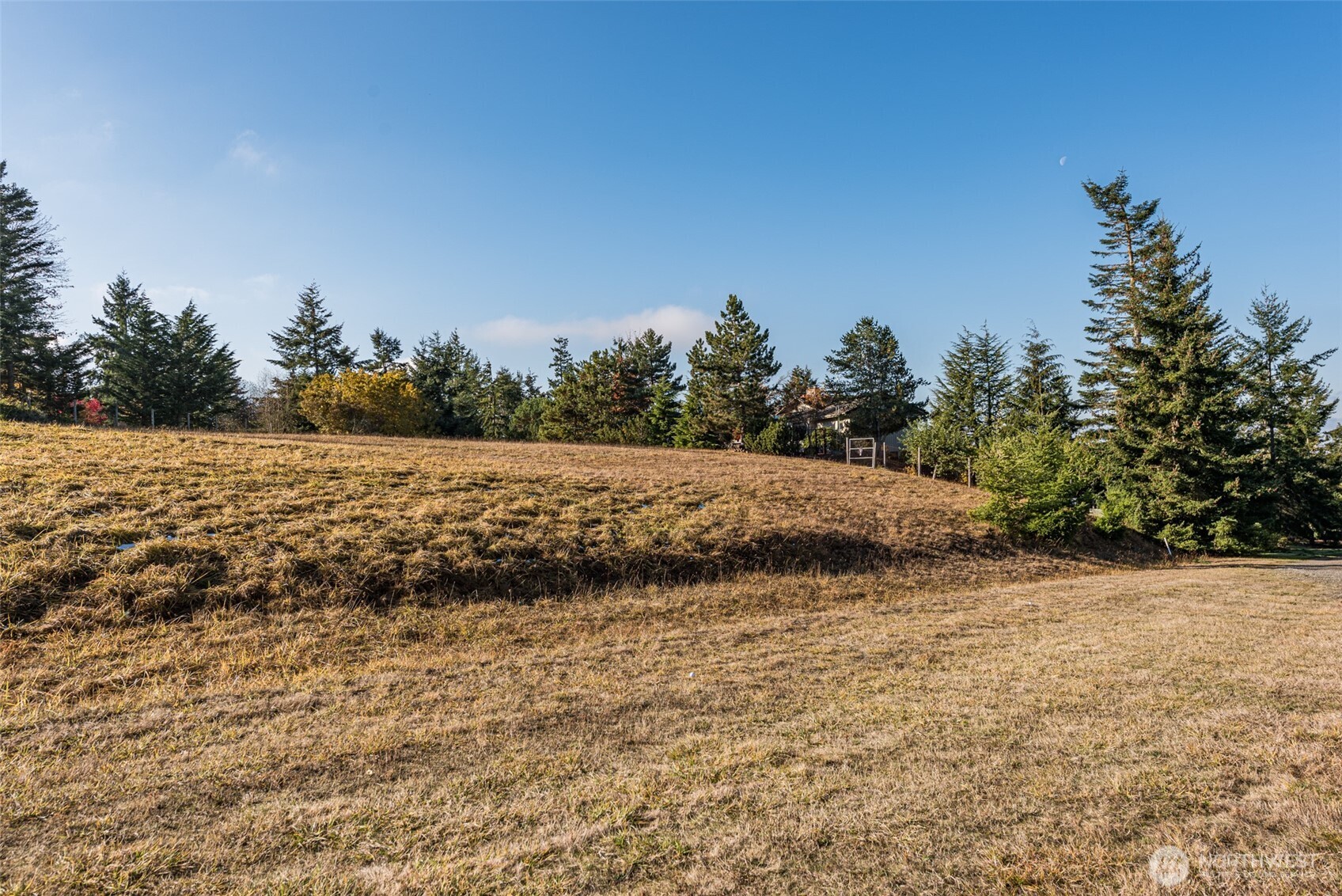 9999 Doe Run Road Lot 4 Property Photo 17