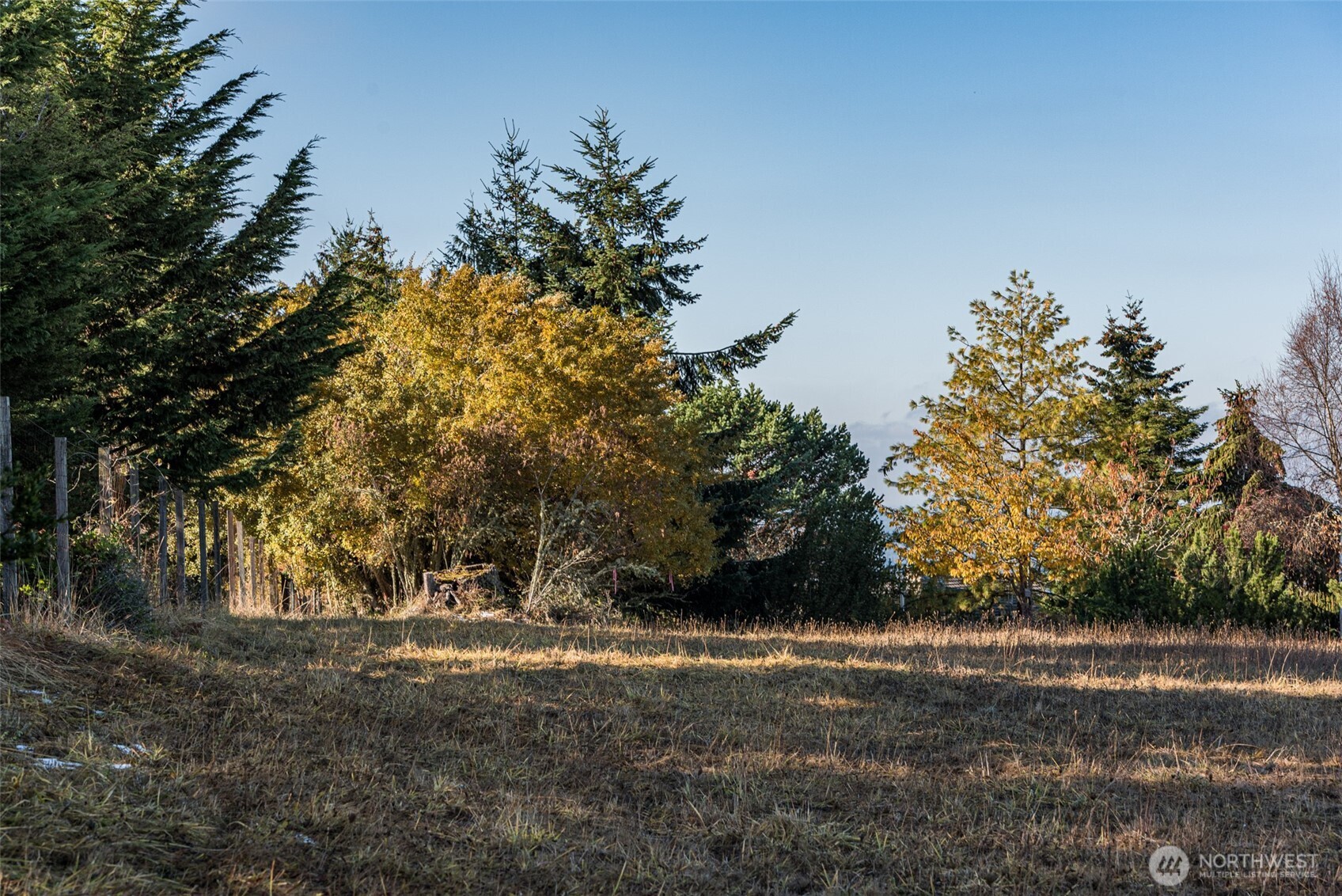 9999 Doe Run Road Lot 4 Property Photo 28