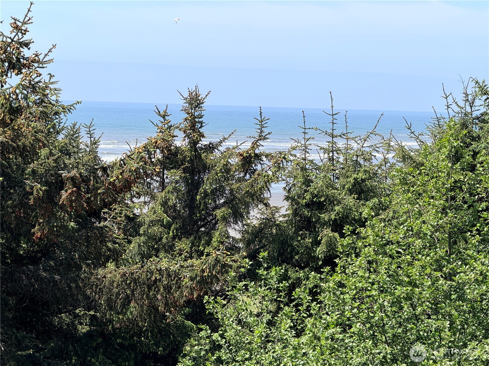 46871 State Route 109 Property Photo 8