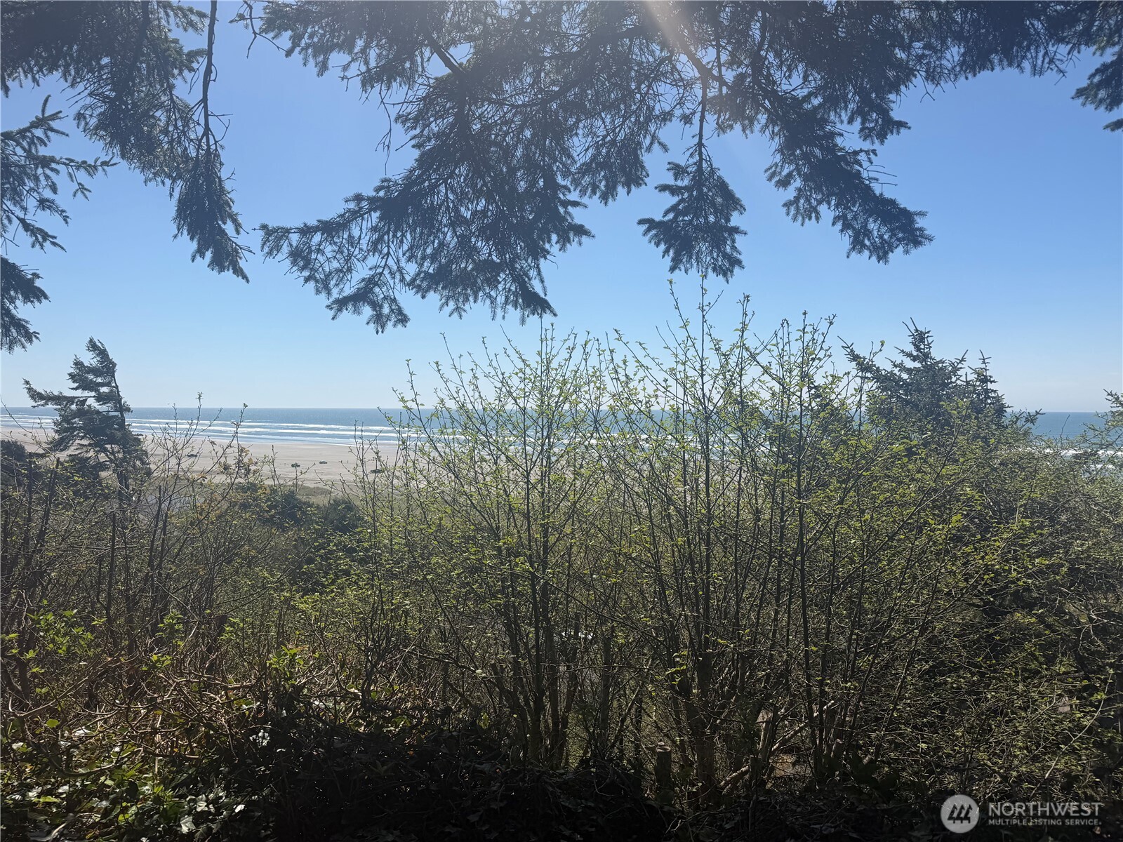 46871 State Route 109 Property Photo 9