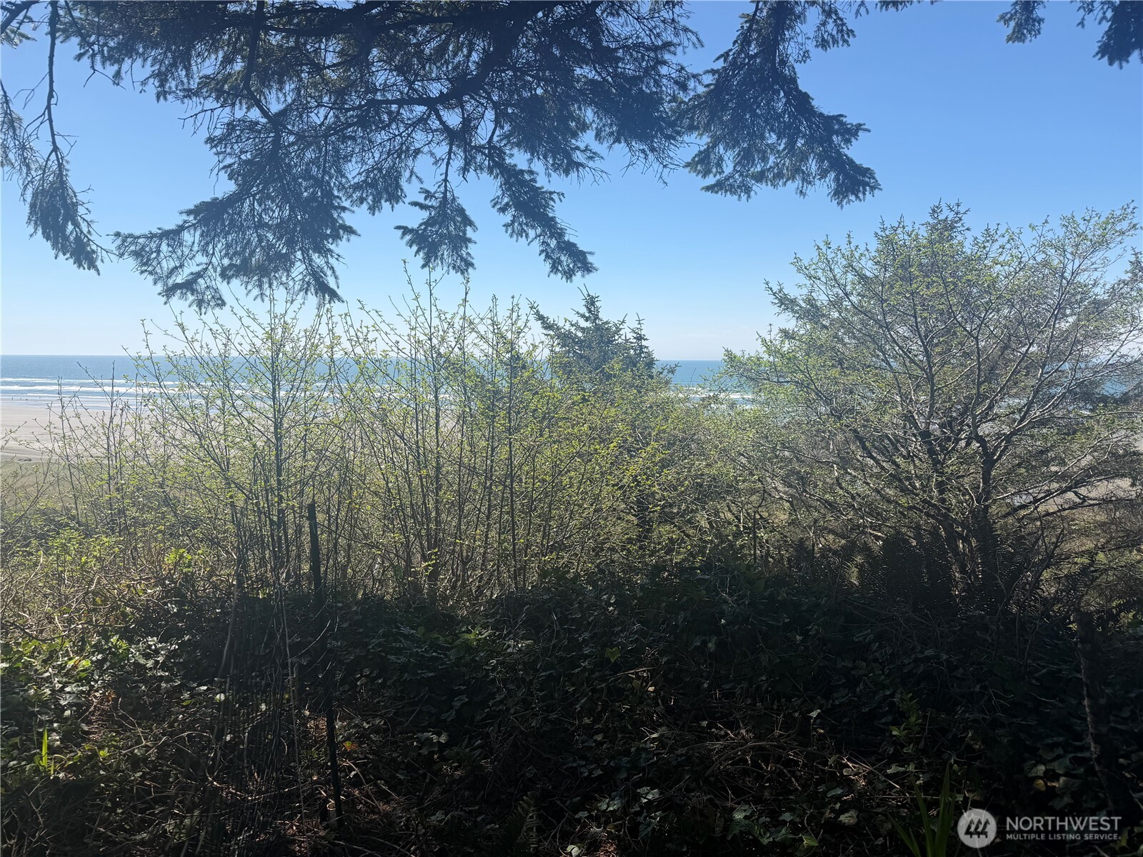 46871 State Route 109 Property Photo 11
