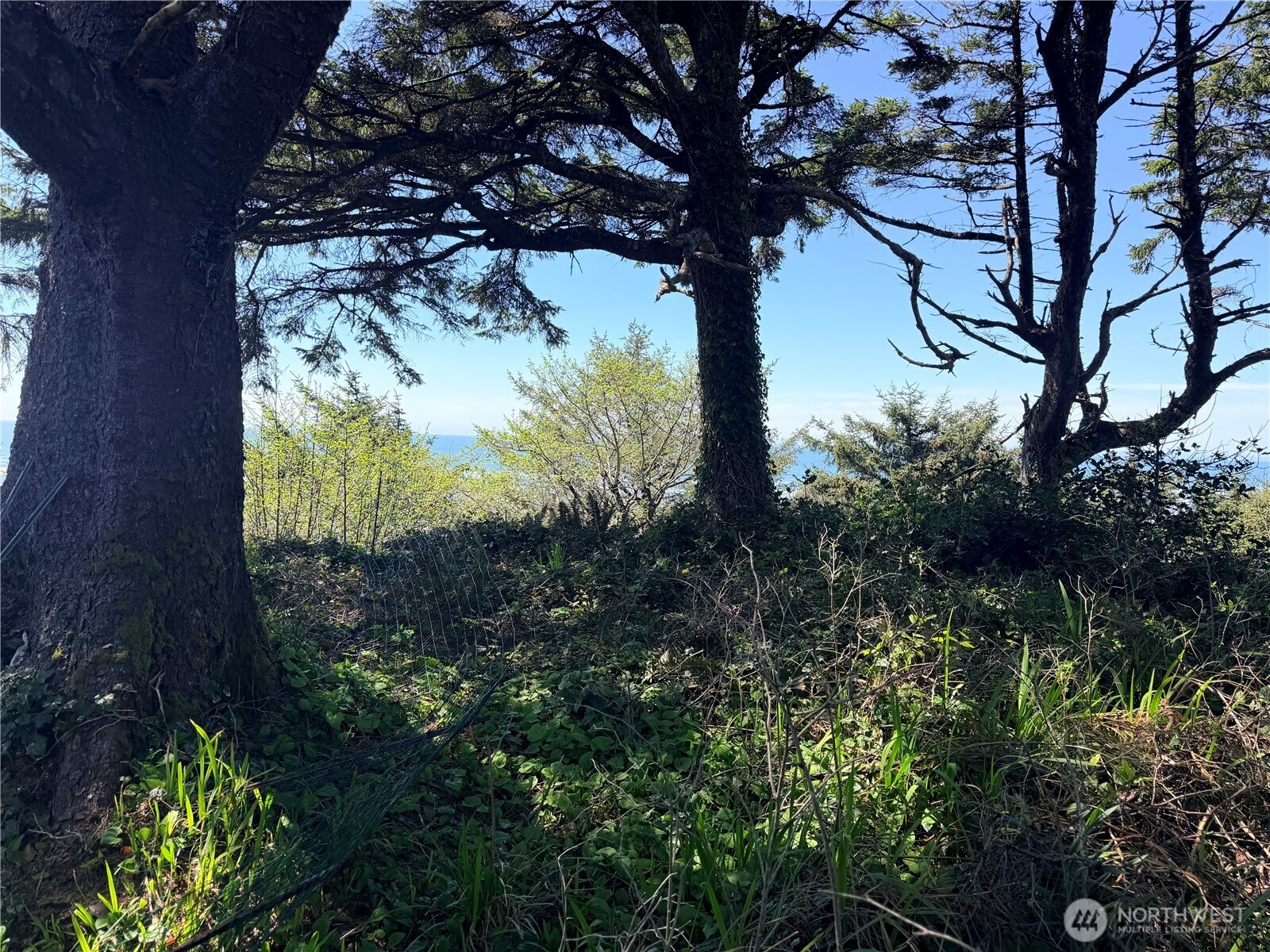 46871 State Route 109 Property Photo 13