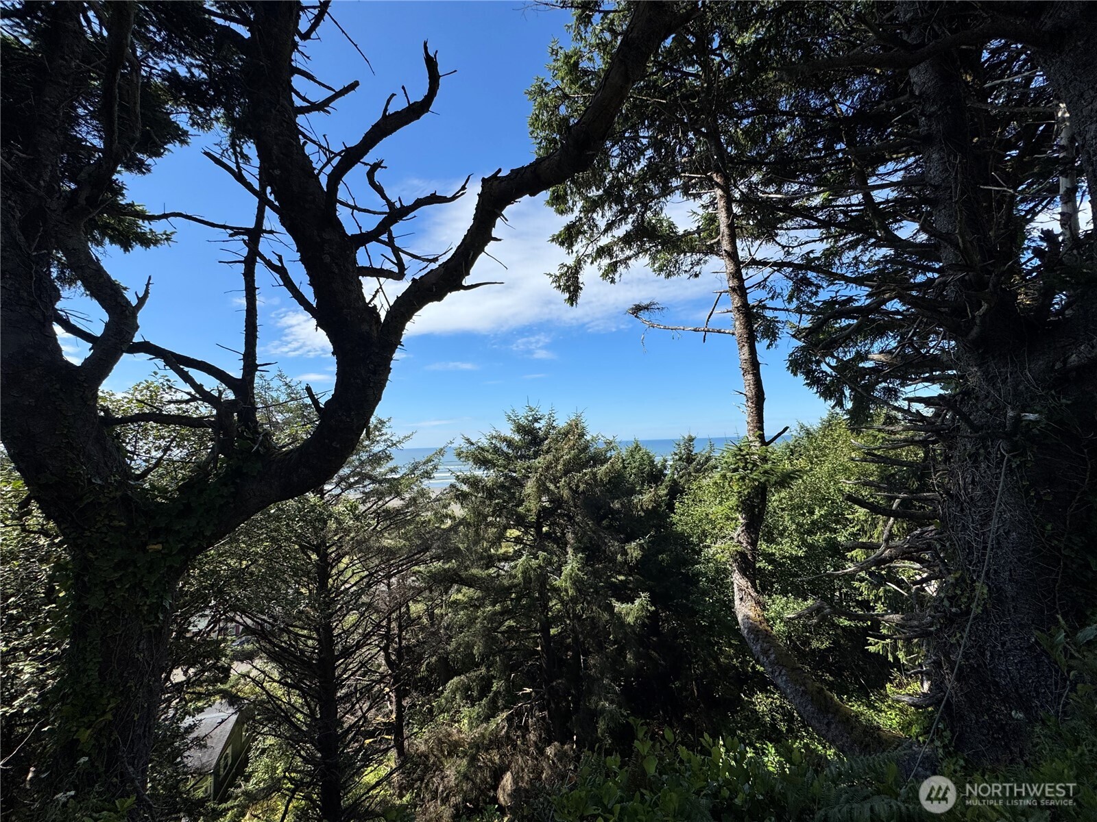 46871 State Route 109 Property Photo 17