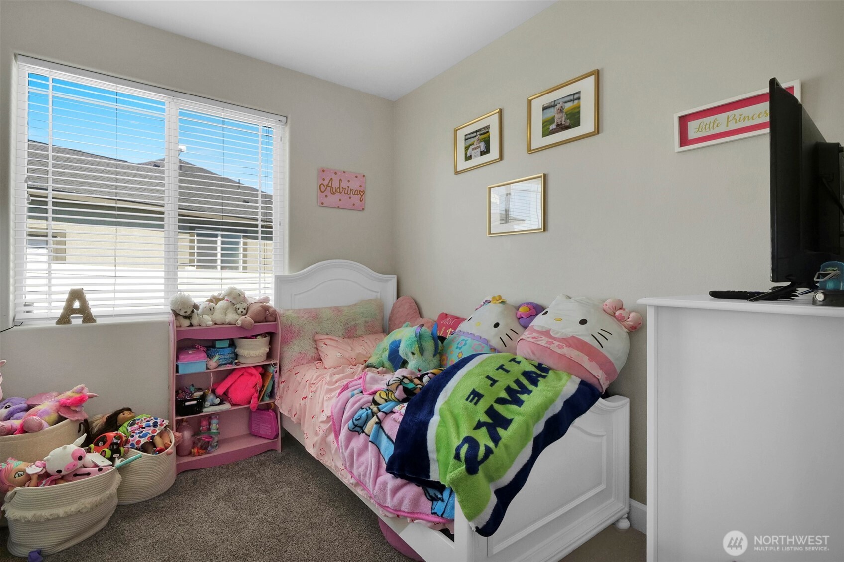 1645 E Madera Street Property Photo 27