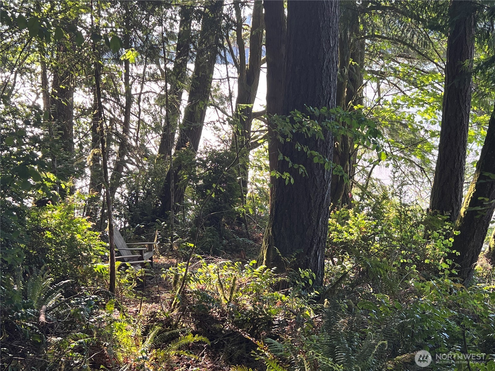 5710 Oyster Bay Road Property Photo 4