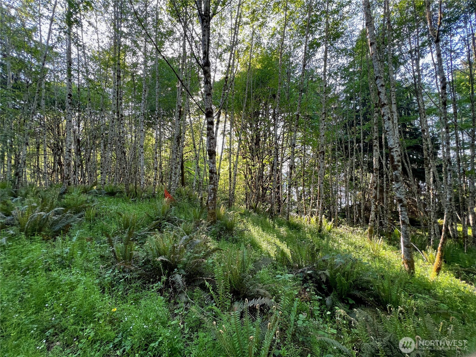 5710 Oyster Bay Road Property Photo 6