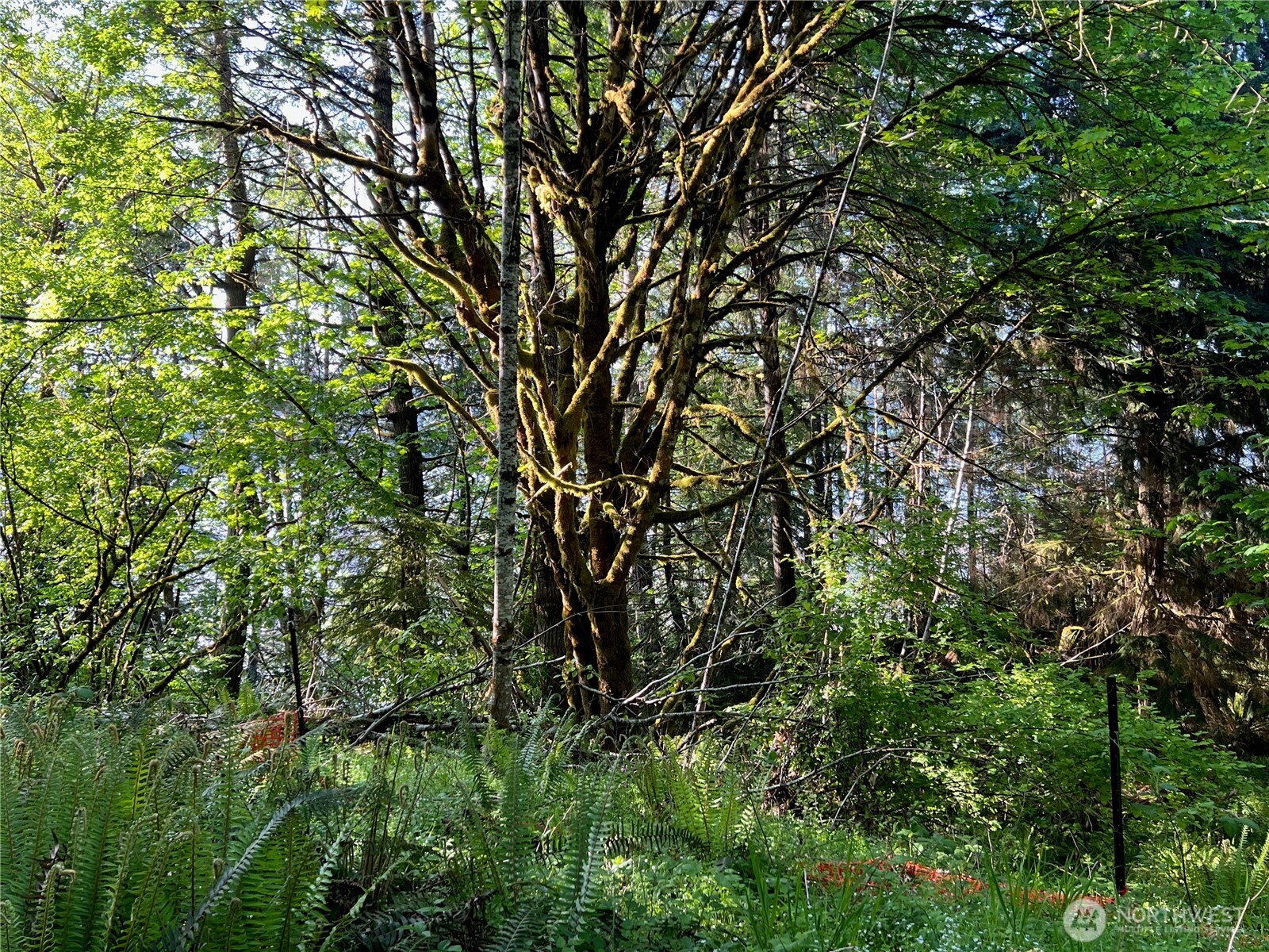 5710 Oyster Bay Road Property Photo 7