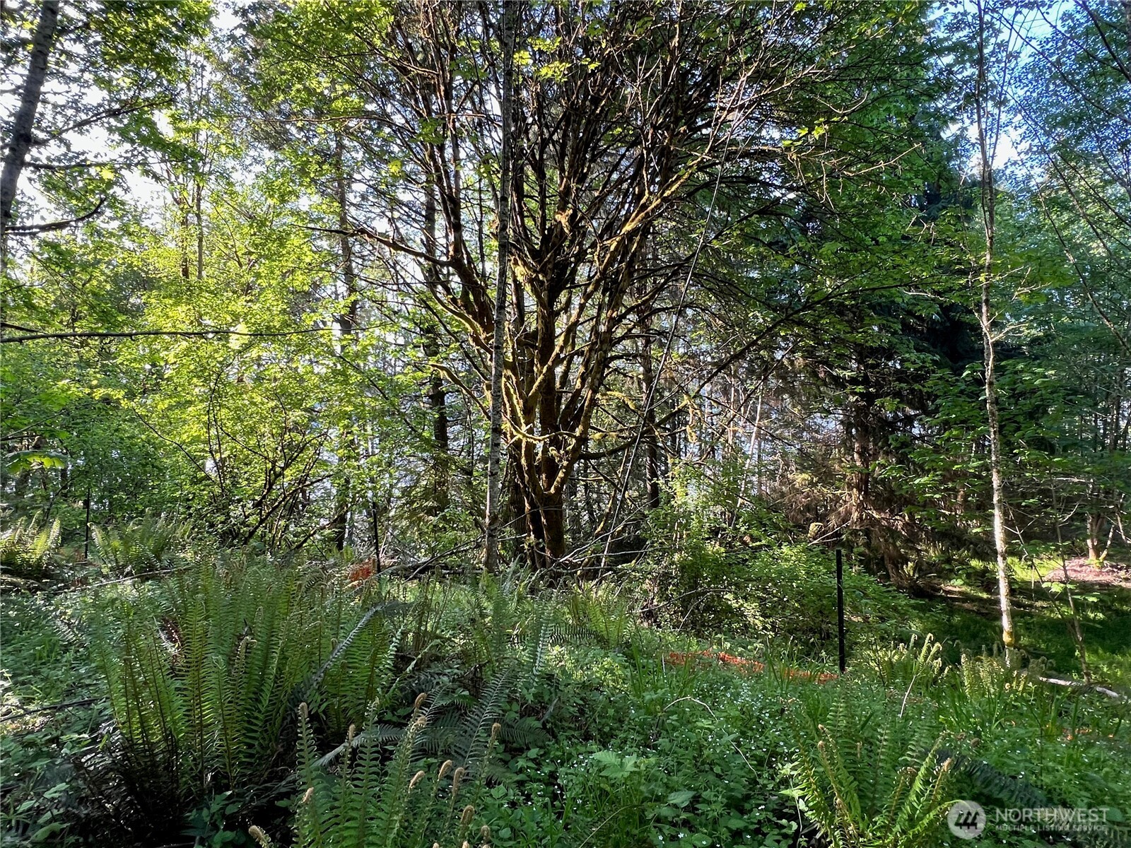 5710 Oyster Bay Road Property Photo 8