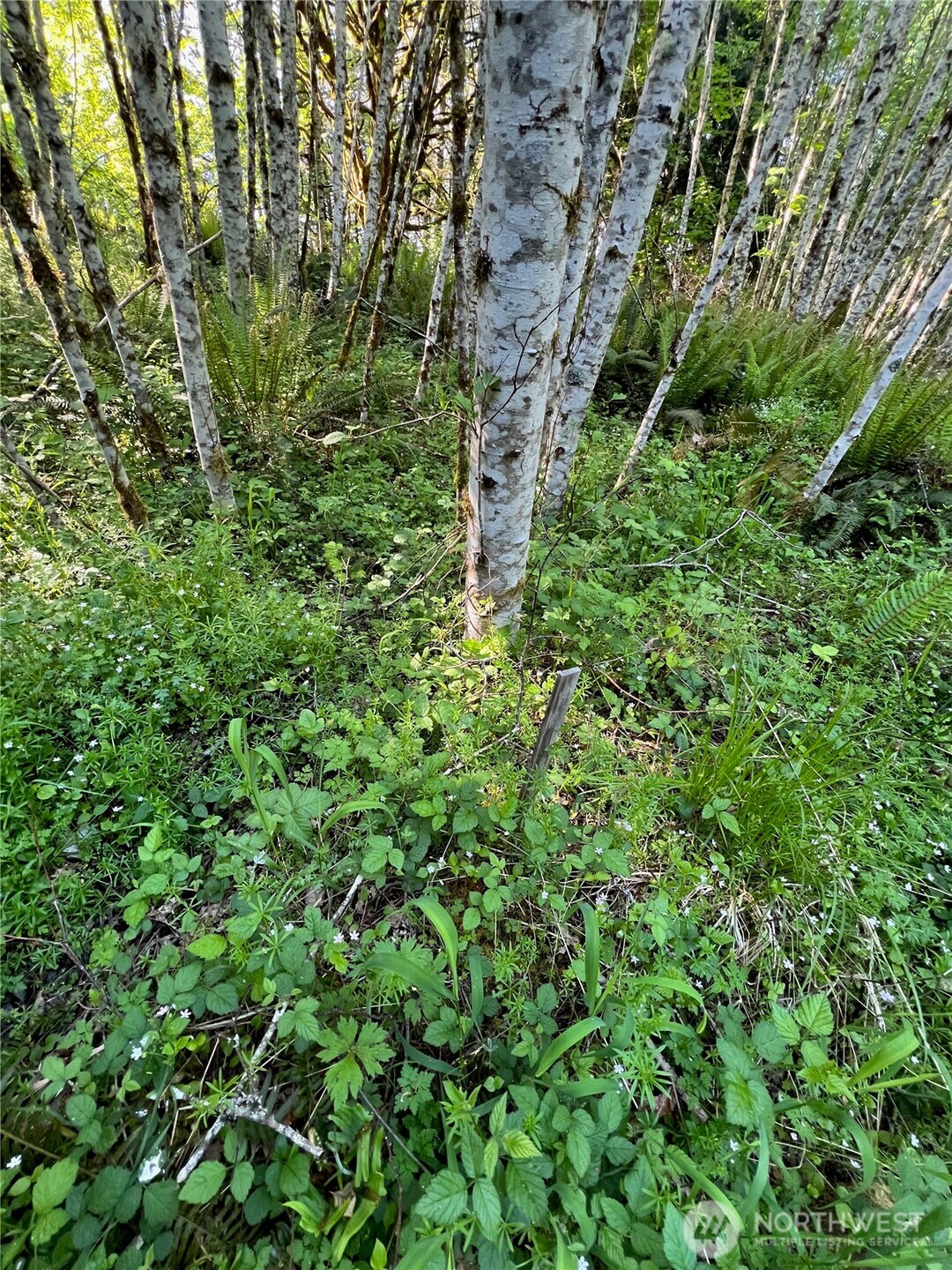 5710 Oyster Bay Road Property Photo 10