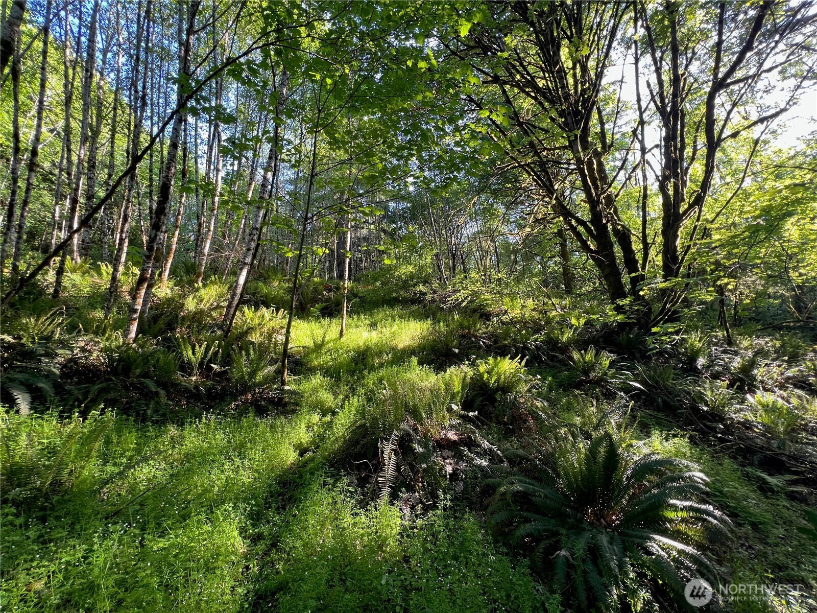 5710 Oyster Bay Road Property Photo 12