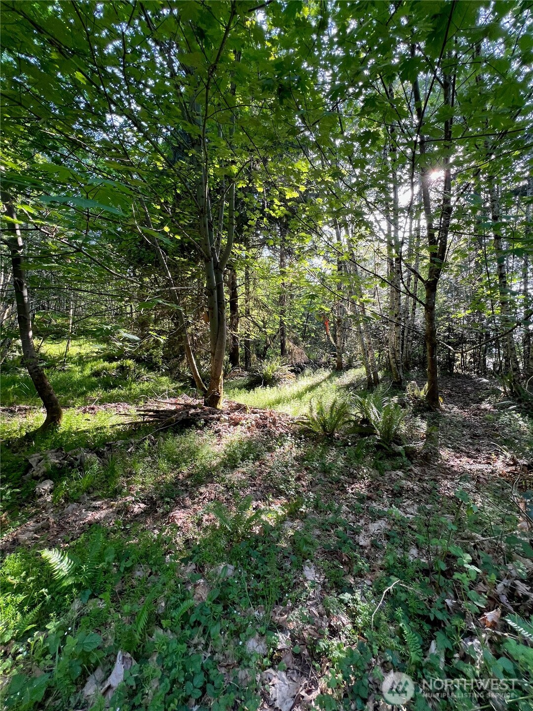 5710 Oyster Bay Road Property Photo 14