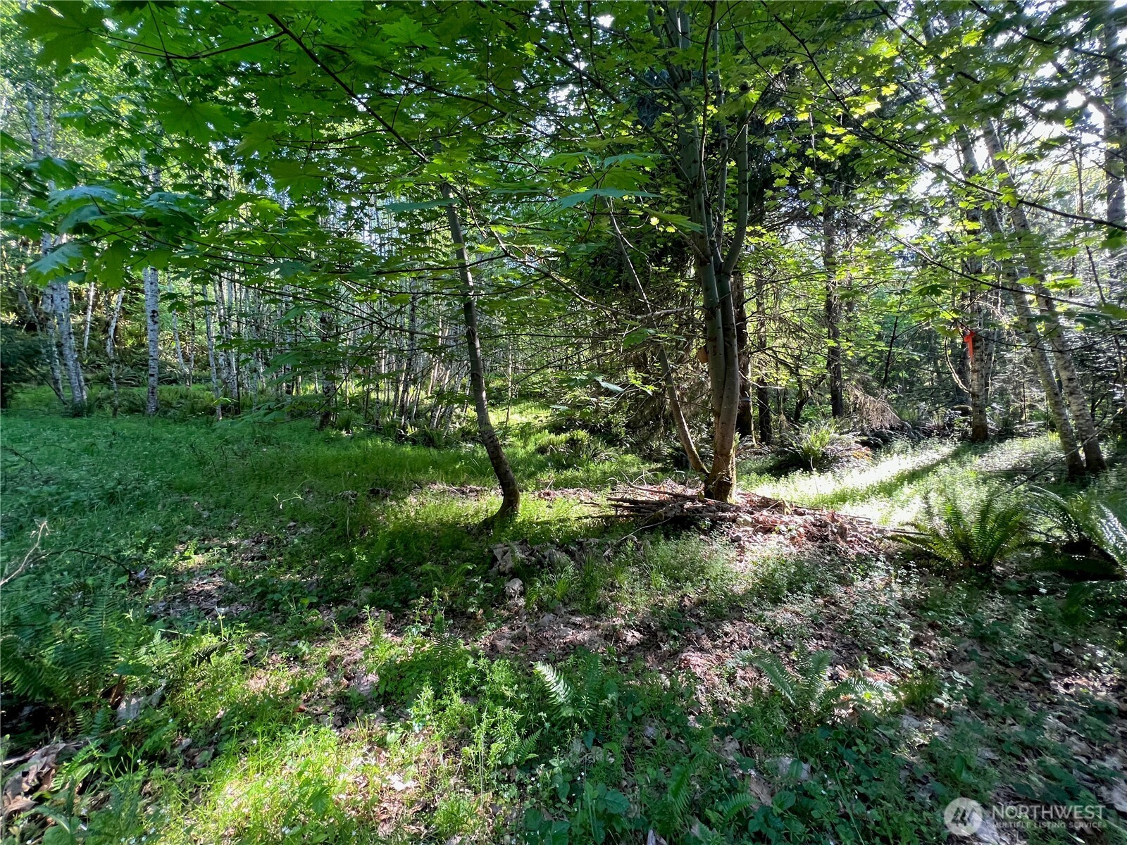 5710 Oyster Bay Road Property Photo 15