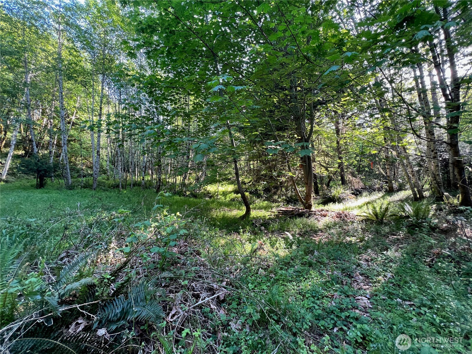 5710 Oyster Bay Road Property Photo 16