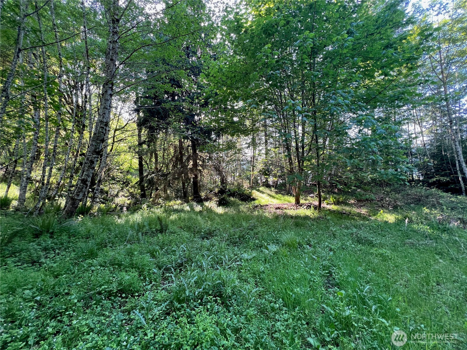 5710 Oyster Bay Road Property Photo 17