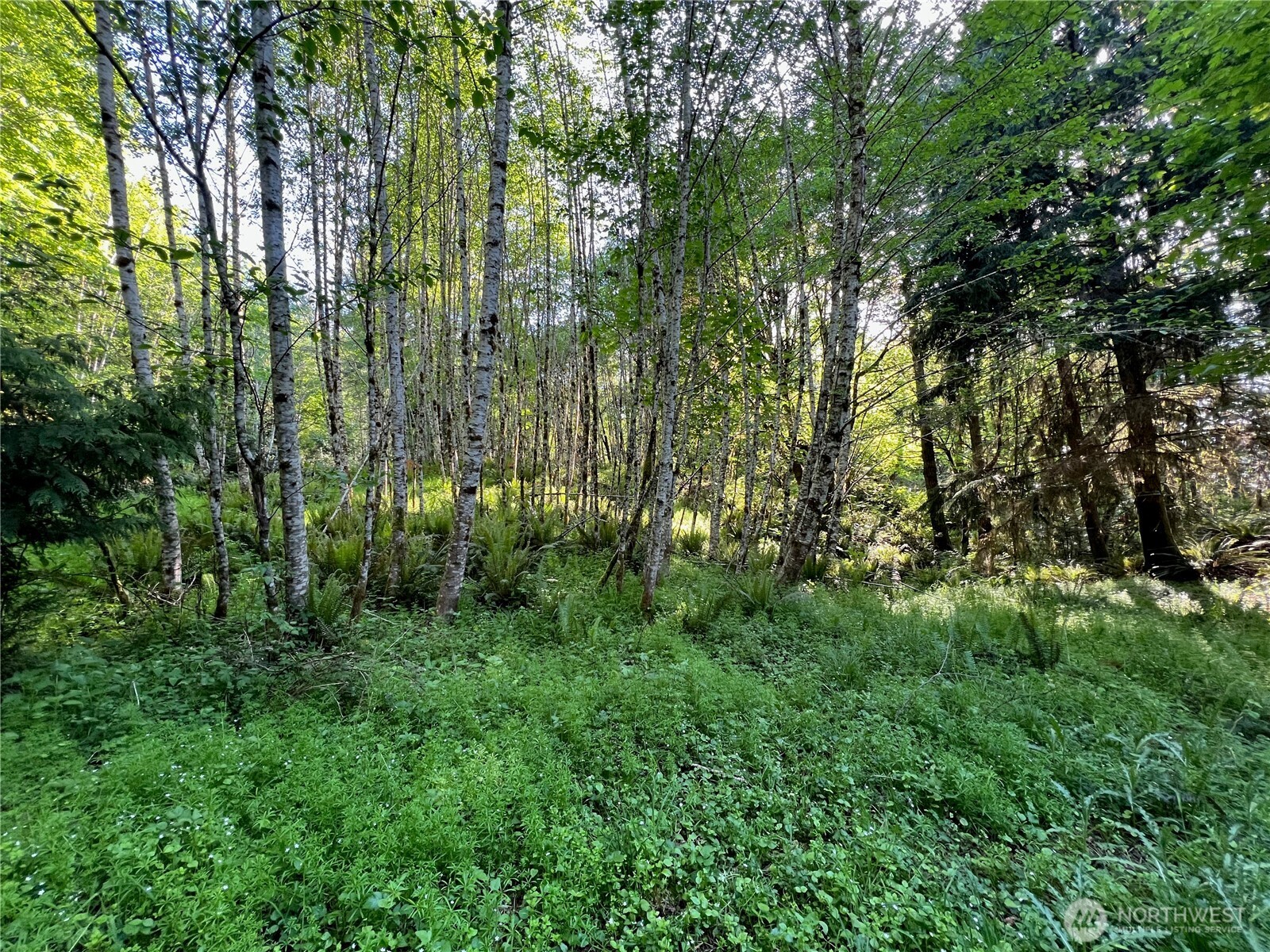 5710 Oyster Bay Road Property Photo 18