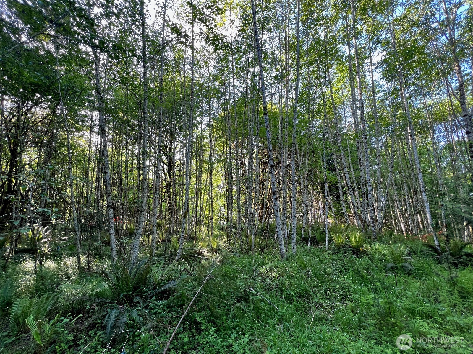 5710 Oyster Bay Road Property Photo 19