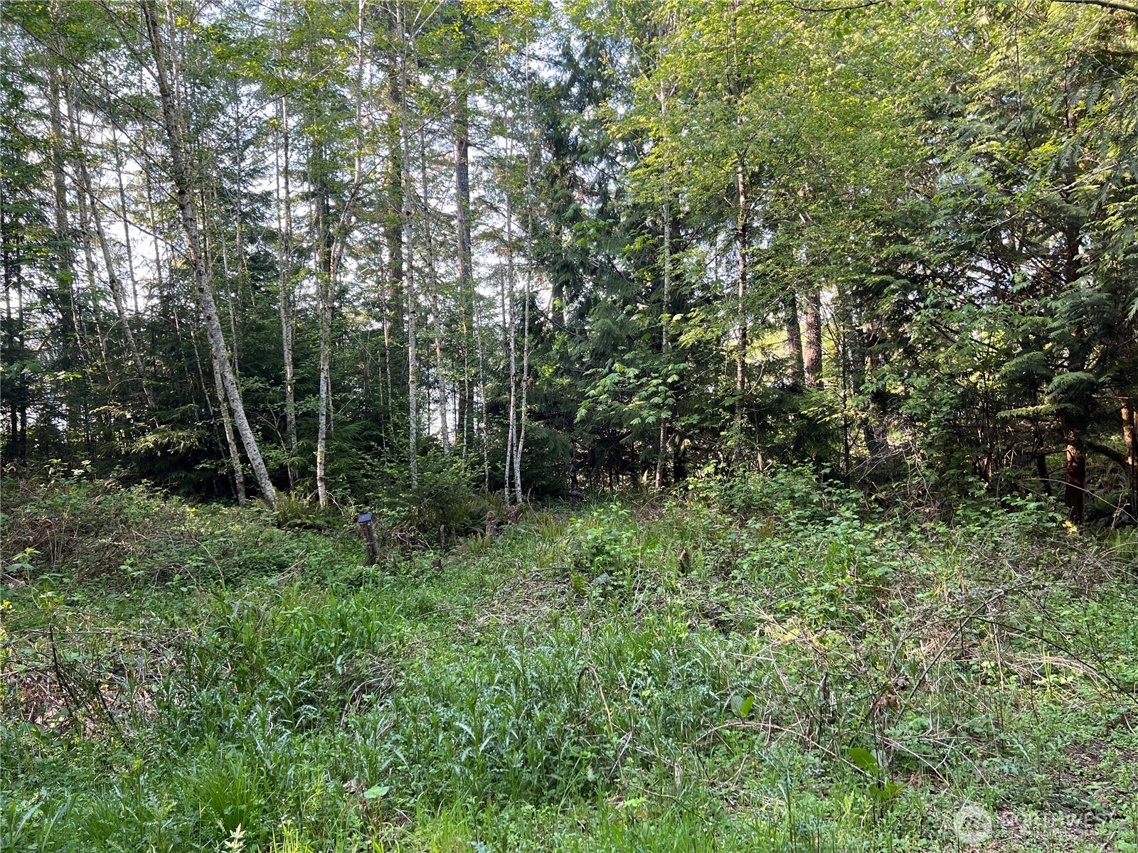 5710 Oyster Bay Road Property Photo 21