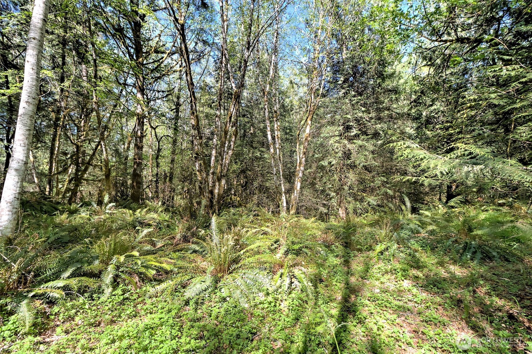19381 E State Highway 3 Property Photo 7